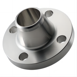 stainless-steel-welding-neck-flange-2.png