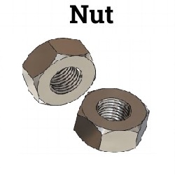 nut-1.jpg