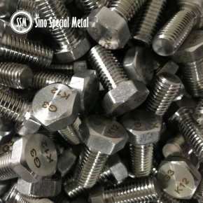 Stainless Steel Bolts